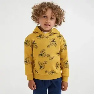 Little Maven Kid Boys Dinosaur Print Hooded Fleece Sweatshirt