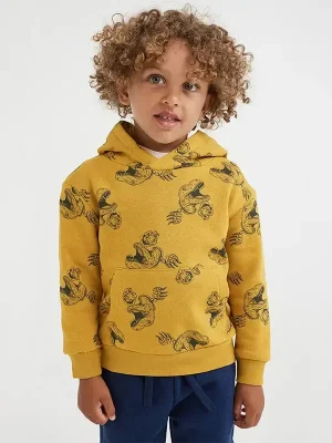 Little Maven Kid Boys Dinosaur Print Hooded Fleece Sweatshirt