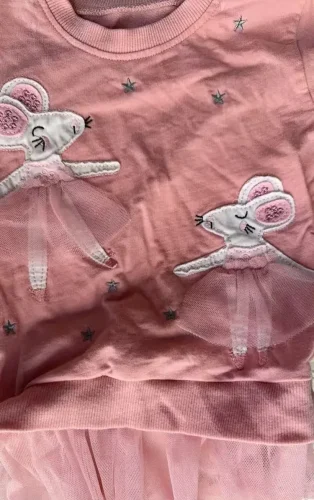 Little Maven Kid Girls Animal Mouse Embroidered Cotton Mesh Dress photo review