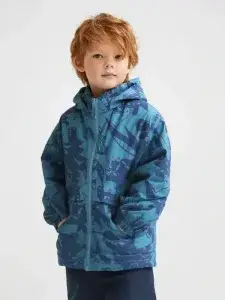 Little Maven Boys Dinosaur Cotton Hooded Jacket