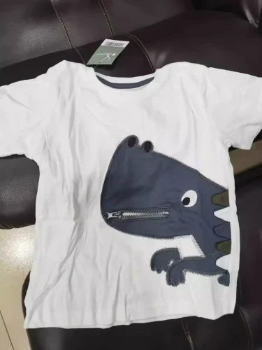 Little Maven Boys 3D Dinosaur Cotton T-Shirt photo review