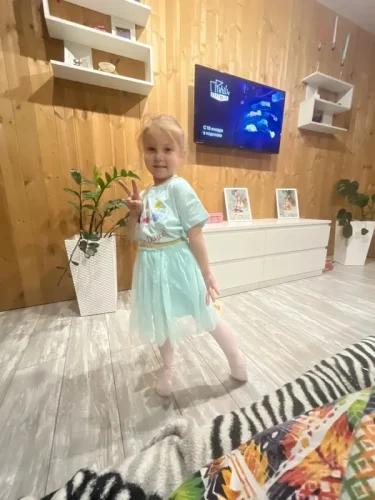 Little Maven Kid Girls Character Print Short-Sleeved Tee & Mesh Skirt Set photo review