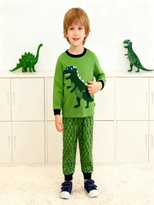 Boys Dinosaur Print 100% Cotton Outfit Set | Little Maven