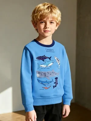 Little Maven Boys Shark Appliqué Cotton Pullover Sweatshirt