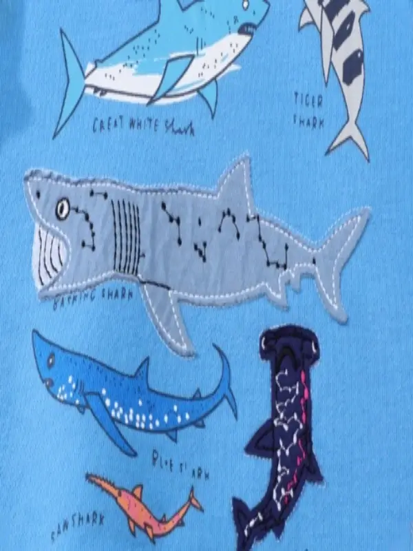 Little Maven Boys Shark Appliqué Cotton Pullover Sweatshirt 6 Little Maven Boys Shark Appliqué Cotton Pullover Sweatshirt - Image 6