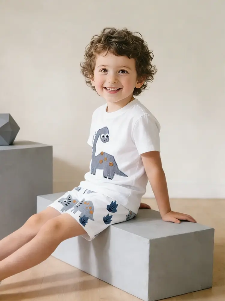 Little Maven Boys Dinosaur Appliqué Cotton Short-Sleeve T-Shirt and Shorts Set 1 Little Maven Boys Dinosaur Cotton T-Shirt & Shorts Set